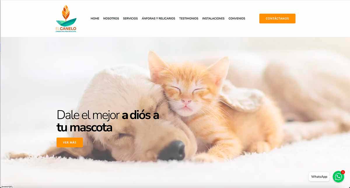 Cinerarios de mascotas en la Región Metropolitana